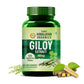 Vlado's Himalayan Organics Giloy Extract | Immunity Booster | Helps in Blood Purification | 120 Veg Tablets