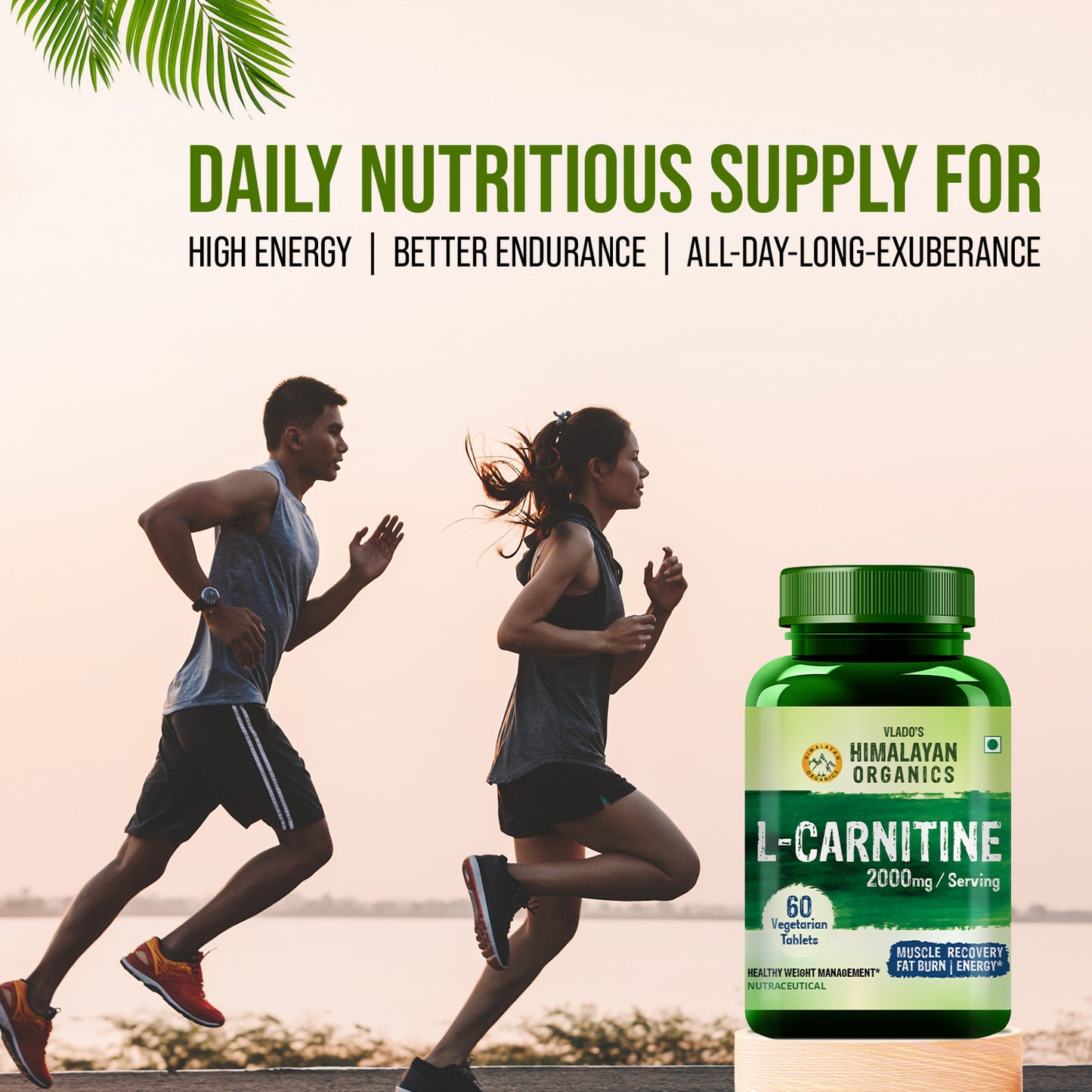 Vlado's Himalayan Organic L-Carnitine 2000 Mg | Healthy Weight Management | Supports Muscle Recovery, Boost Energy, Endurance, And Fat Burn - 60 Vegetarian Tablets