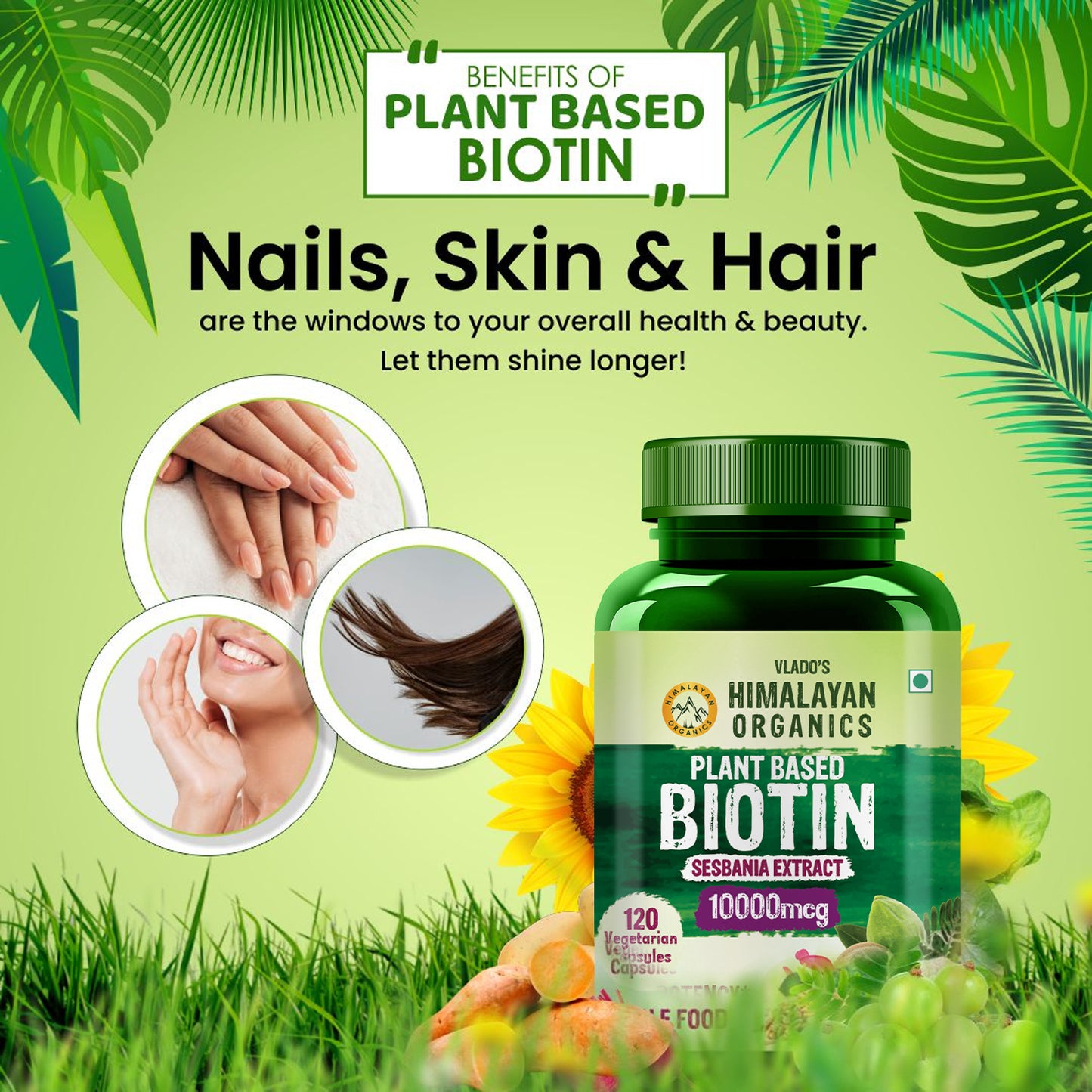 Vlado's Himalayan Organics Plant Based Biotin 10000 mcg for Hair Growth - 120 Veg Capsules