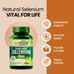 Vlado's Himalayan Organics Plant Based Selenium 40mcg | Good For immune Support | Promote Heart Health And Cardiovascular System - 60 veg Capsules