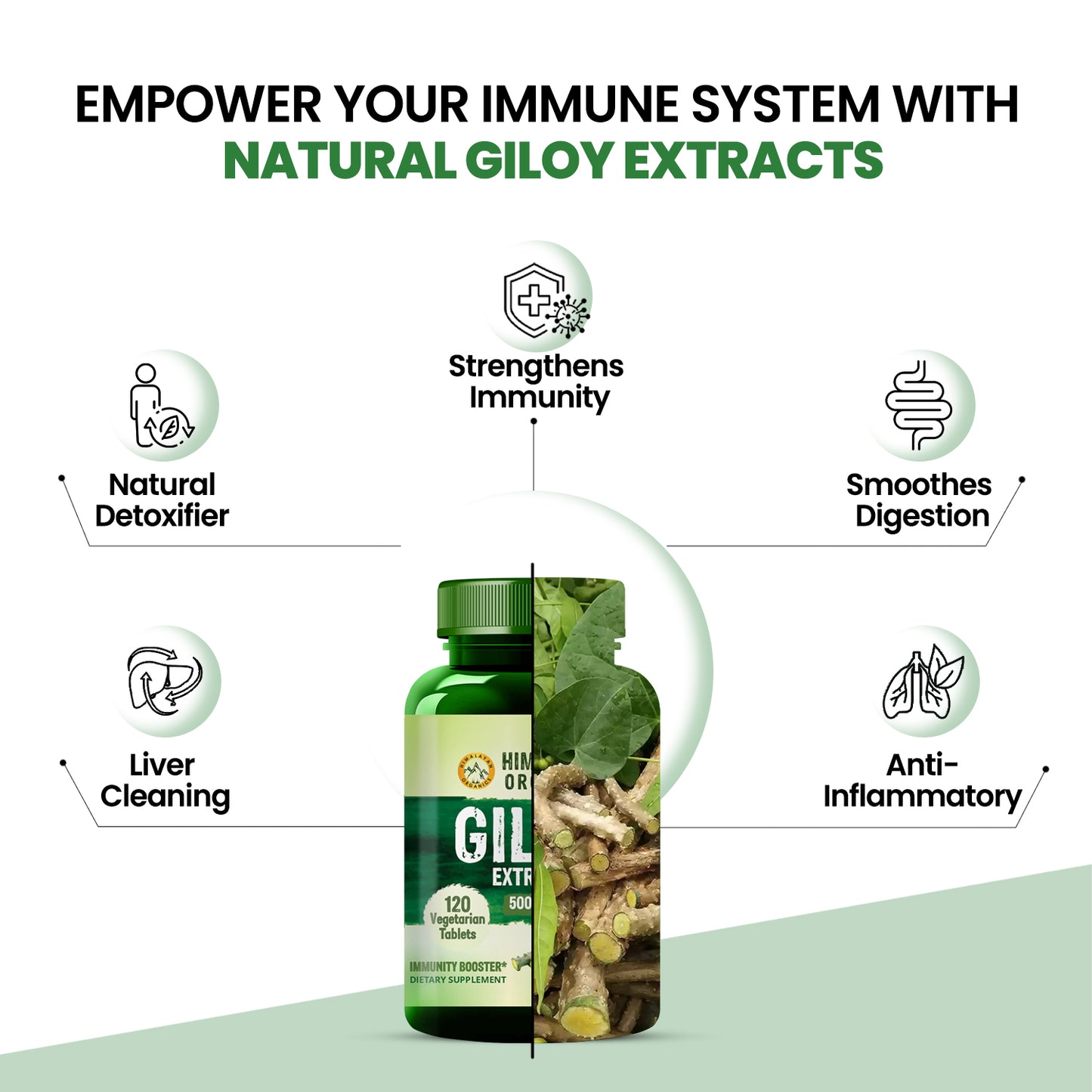 Vlado's Himalayan Organics Giloy Extract | Immunity Booster | Helps in Blood Purification | 120 Veg Tablets