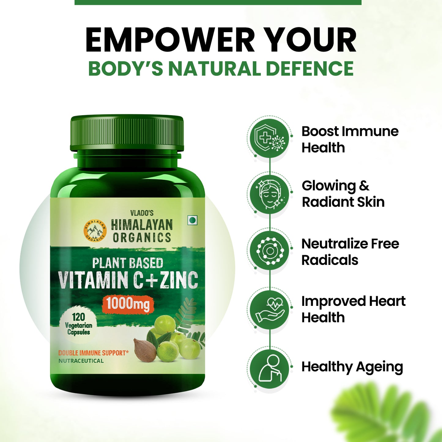 Vlado's Himalayan Organics Plant Based Vitamin C with Zinc (120 Capsules) As Amla Extract - Glowing Skin & Immunity