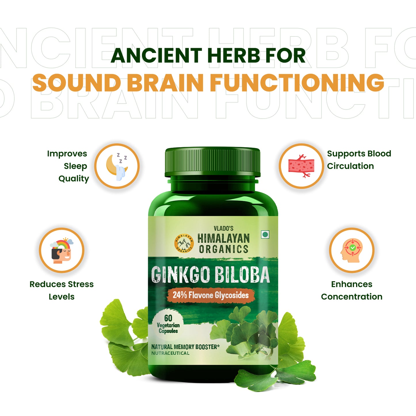 Vlado's Himalayan Organics Ginkgo Biloba for Healthy Brain Functions - 60 Count