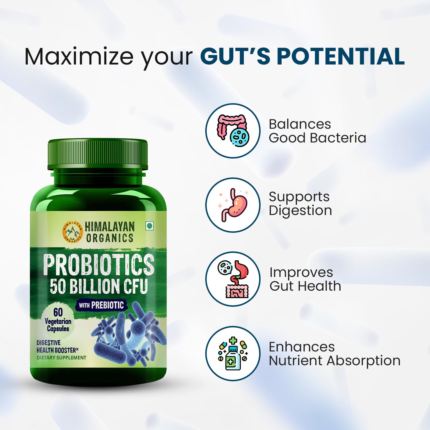 Probiotics Supplements Best For Maintaining Smooth Functioning Of Gut ...