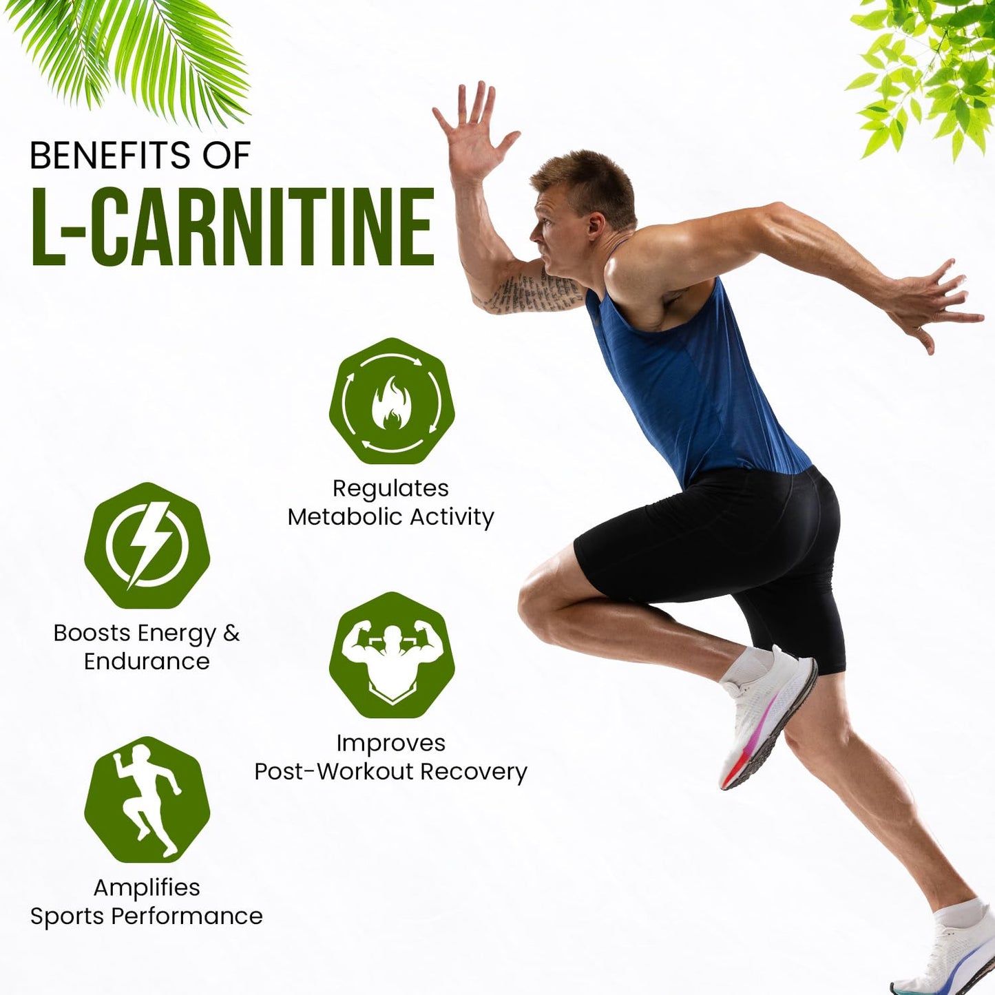 Himalayan Organic L-Carnitine 2000 Mg | Healthy Weight Management | Supports Muscle Recovery, Boost Energy, Endurance, And Fat Burn - 60 Vegetarian Tablets