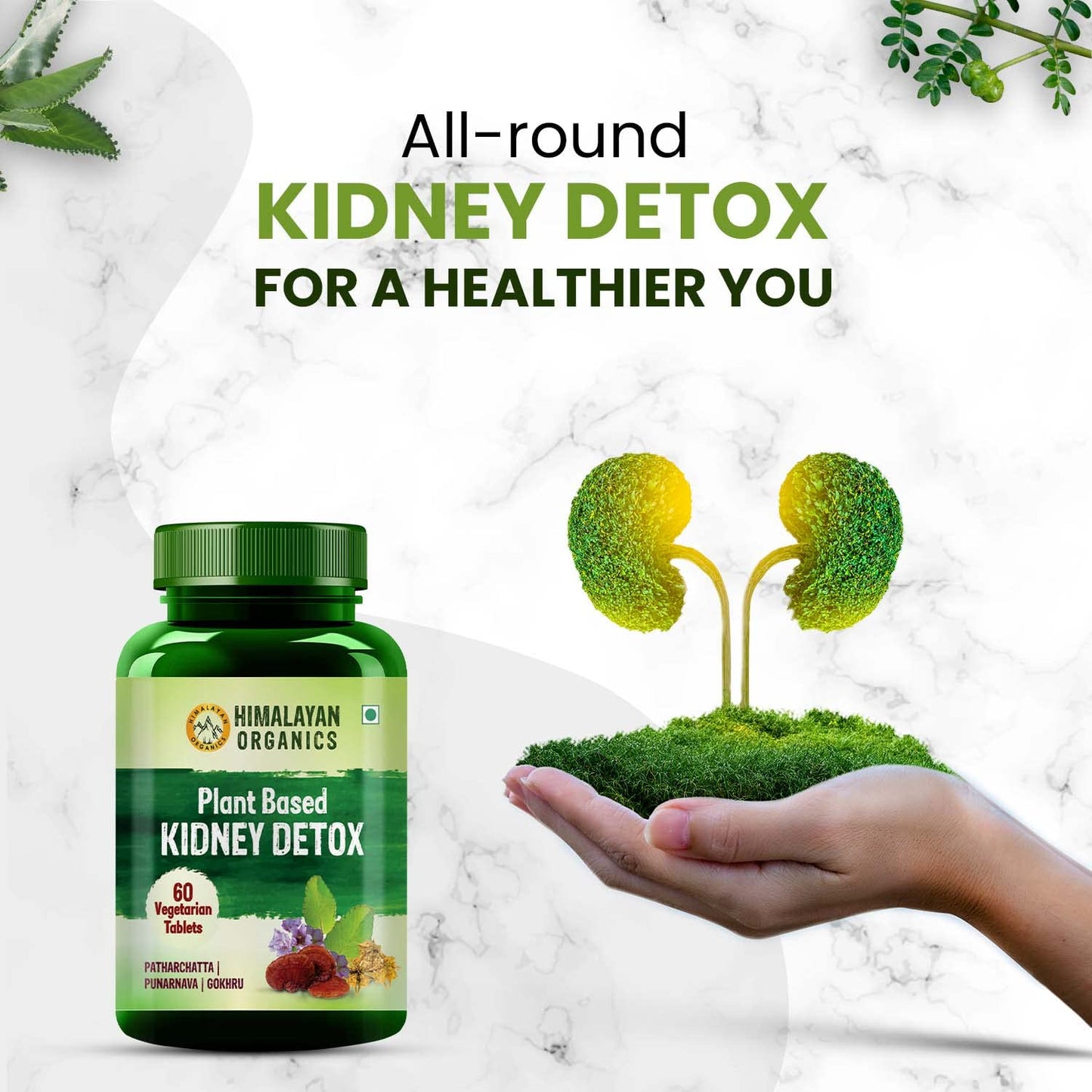 Himalayan Organics Plant Based Kidney Detox | Gokhru Punarnava | Varun & Patharchatta Leaf Extracts | Natural Diuretic & Dissolution 100% Natural Supplement - 60 Tablets