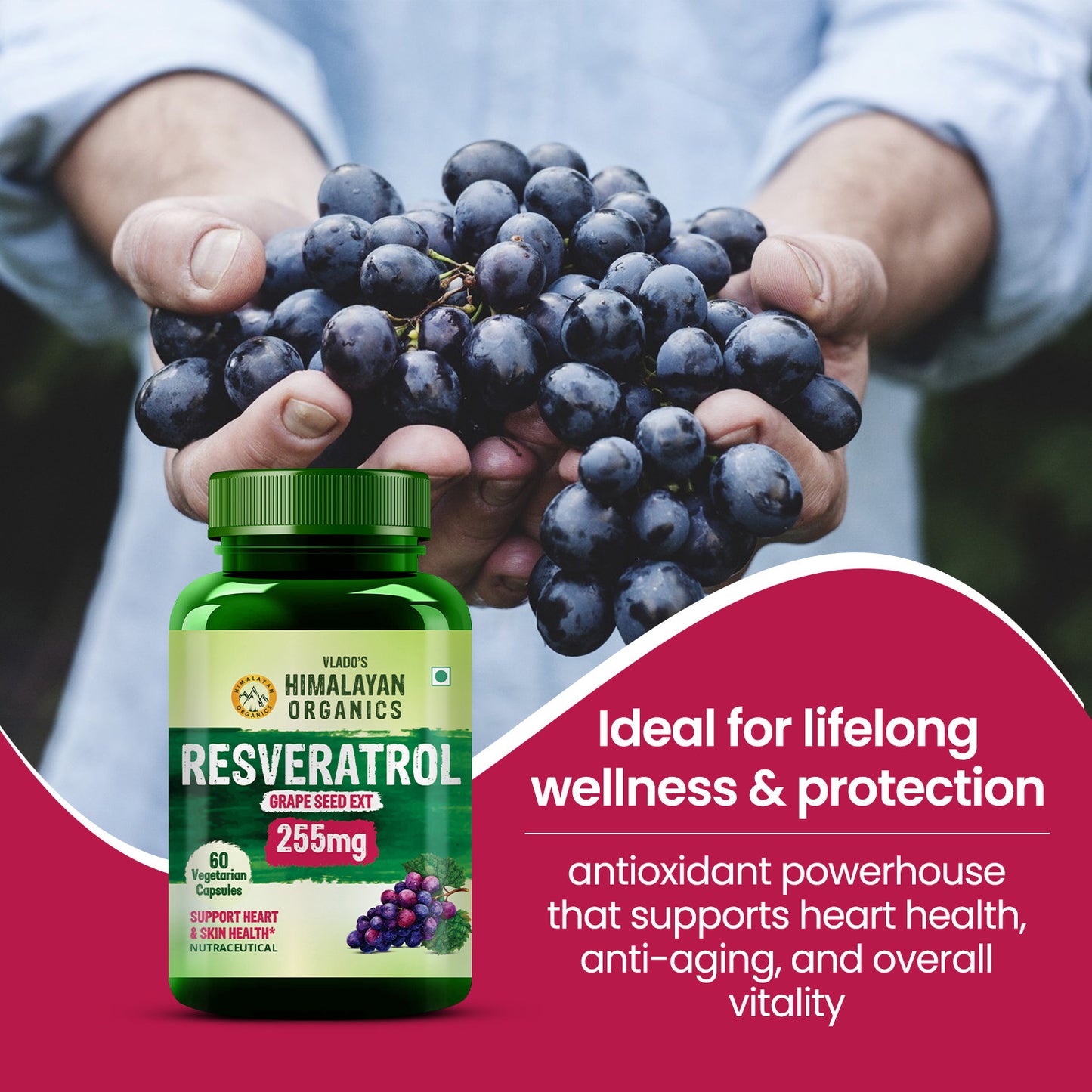 Vlado's Himalayan Organics Resveratrol 255mg with Grape Seed Extract Supplement | Support Heart And Skin Health | Powerful Anti-oxidant for Anti-Ageing - 60 Veg Capsules