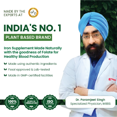 Vlado's Himalayan Organics Plant Based Iron with Folate for Better Hemoglobin, Immunity, Oxygen Binding Capacity - 90 Veg Capsules