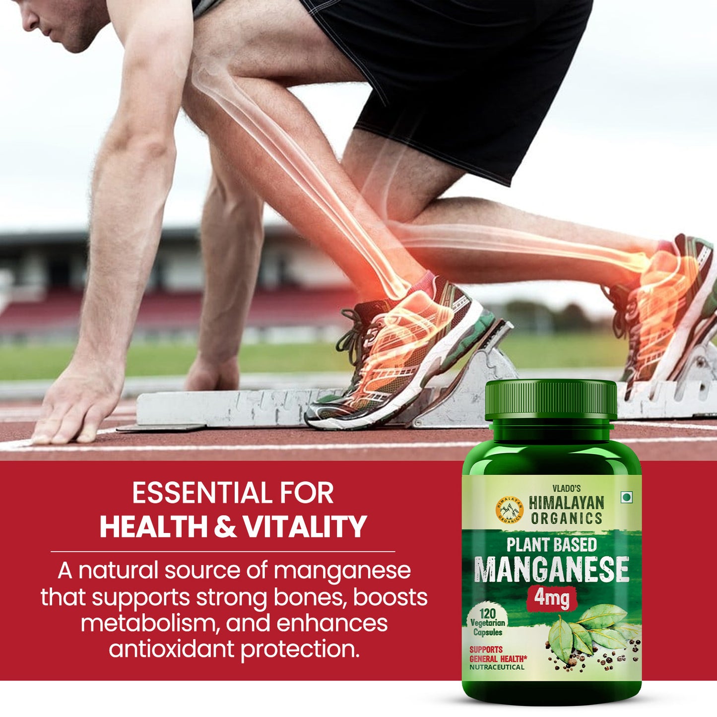 Vlado's Himalayan Organics Plant Based Manganese 4mg Supplement | Trace Mineral Supplement for Connective Tissue and Bones | Good For Skeletal Health Support - 120 Veg Capsules