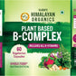 Vlado's Himalayan Organics Plant Based B Complex Vitamin with 100% RDA B1, B2, B3, B5, B6, B9 & B12 - 60 Veg Capsules