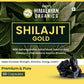 Vlado's Himalayan Organics Pure Shilajit 24 carat Gold with Ashwagandha, Safed musli, Kaunch beej , Gokshura Swarna & Rajat Bhasma +10 more Ayurvedic herbs - -Boost Stamina, Strenght, Energy Power, Build Muscle Mass - 60 Veg Capsules