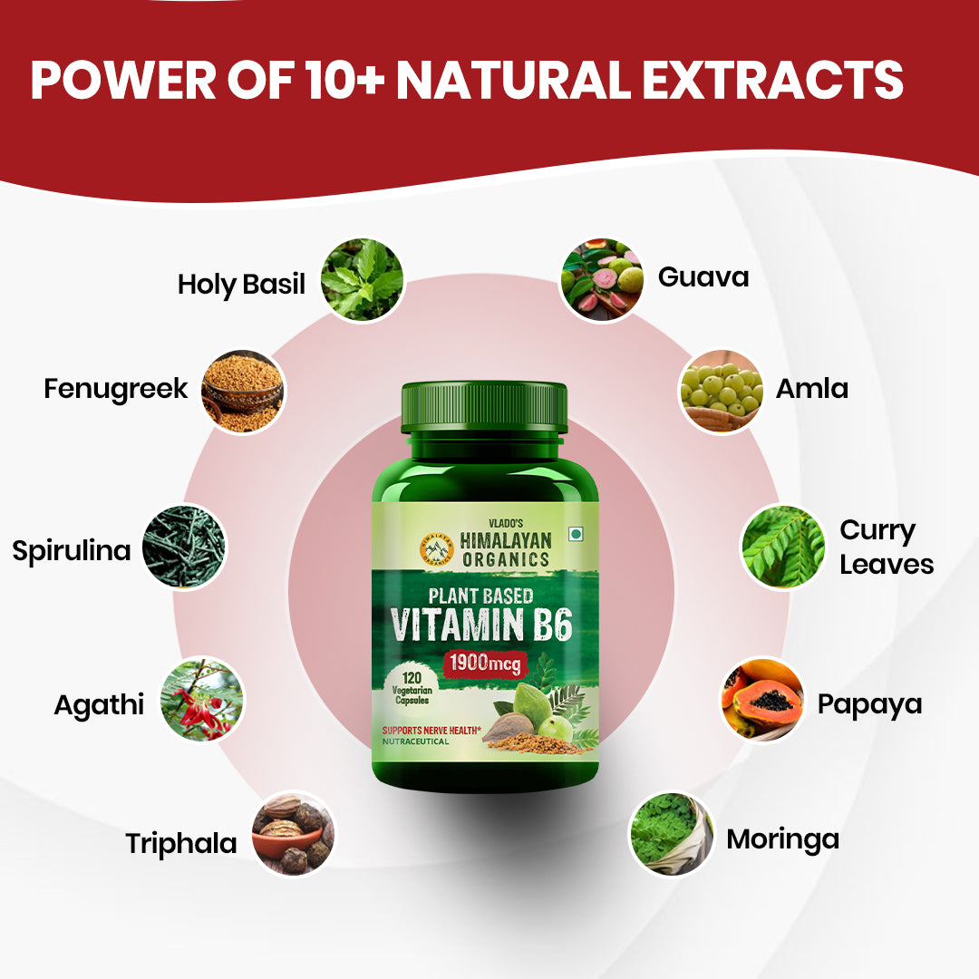 Vlado's Himalayan Organics Plant-Based Vitamin B6 | Supports Immunity, Brain Health (120 Capsules)