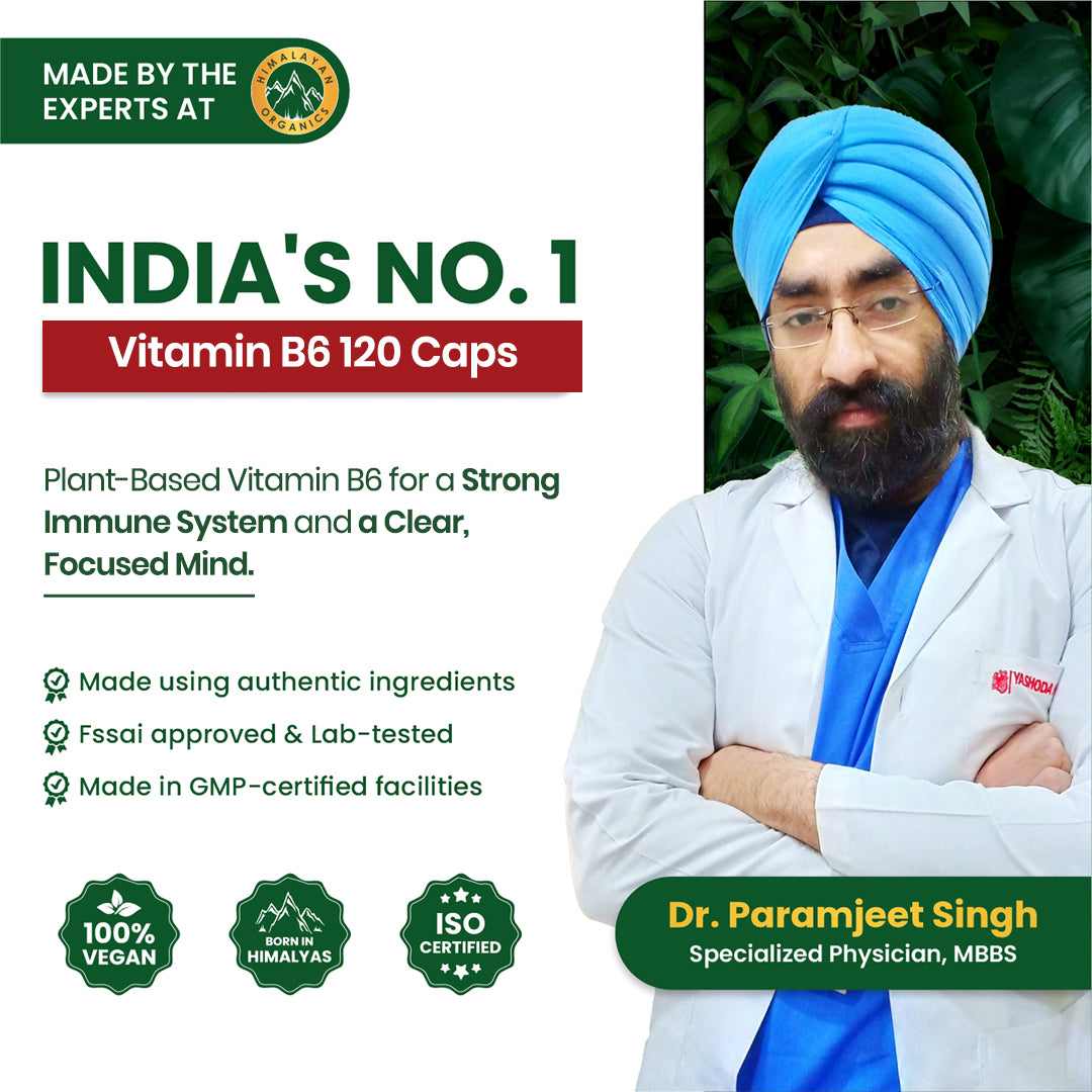 Vlado's Himalayan Organics Plant-Based Vitamin B6 | Supports Immunity, Brain Health (120 Capsules)