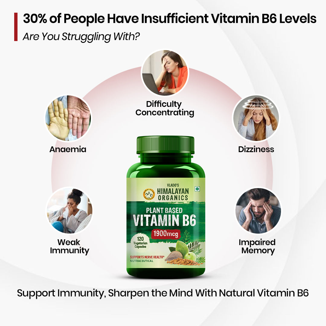 Vlado's Himalayan Organics Plant-Based Vitamin B6 | Supports Immunity, Brain Health (120 Capsules)