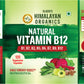 Vlado's Himalayan Organics Plant Based Vitamin B12 Natural- 60 Veg Capsules