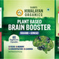 Vlado's Himalayan Organics Plant Based Brain Booster Supplement with Ginkgo Biloba & Brahmi | Boost concentration & Learning Activities | 60 Veg Capsules