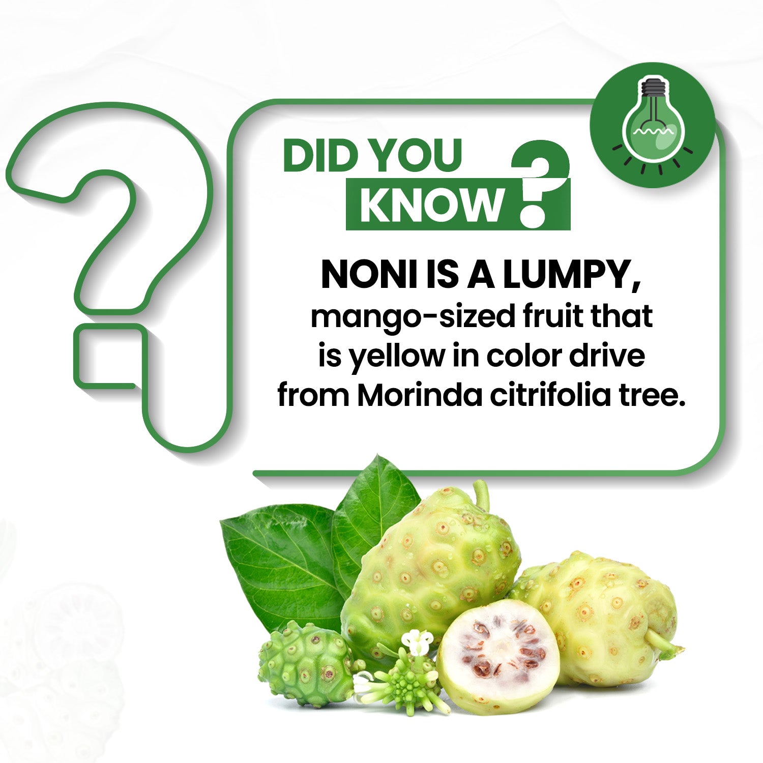 Health benefits of noni hotsell