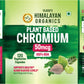 Vlado's Himalayan Organics Plant Based Chromium 50mcg | Supports Healthy Blood Glucose Level - 120 Veg Capsule