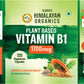 Vlado's Himalayan Organics Plant-Based Vitamin B1 | Rich in Antioxidants | Supports Memory And Energy (120 Capsules)