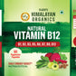 Vlado's Himalayan Organics Plant Based Vitamin B12 Natural- 60 Veg Capsules