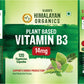 Vlado's Himalayan Organics Plant-Based Vitamin B3 | Supports Healthy Skin and Heart 120 Capsules